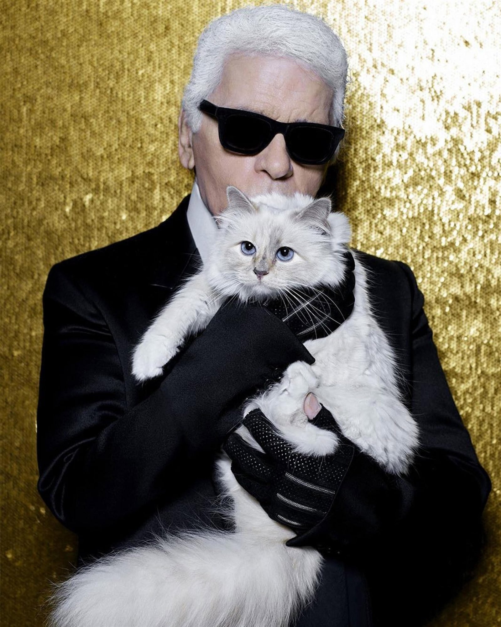 lucybalu-choupette-swing-hamaca-cama-gato-Karl Lagerfeld