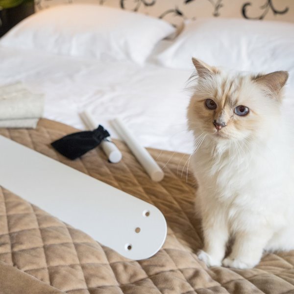 La mascota de Karl Lagerfeld, Choupette, diseña una cama para gatos