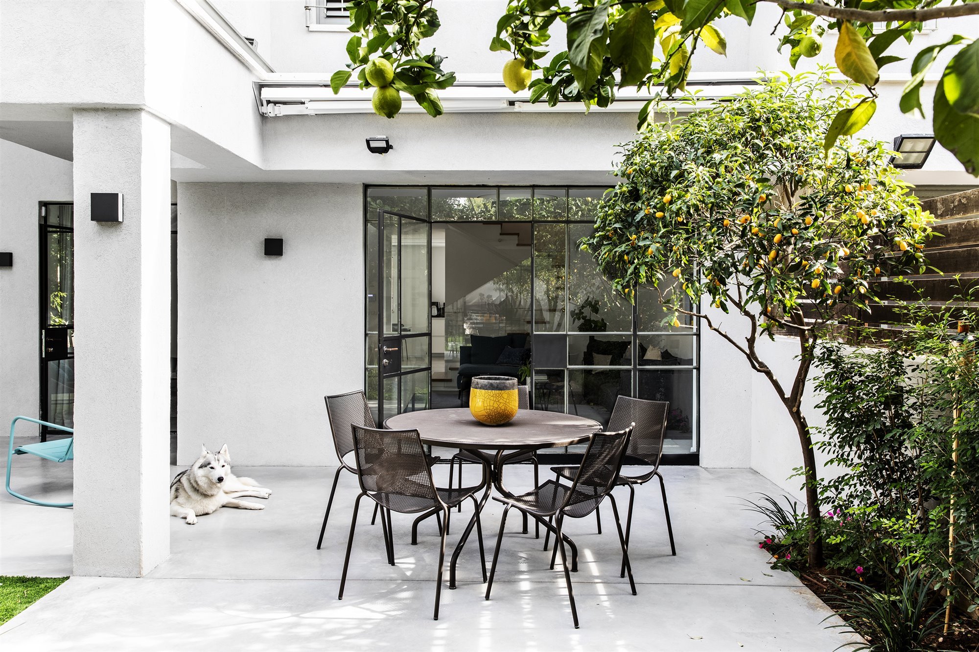 Comedor exterior patio de una casa moderna con un naranjo