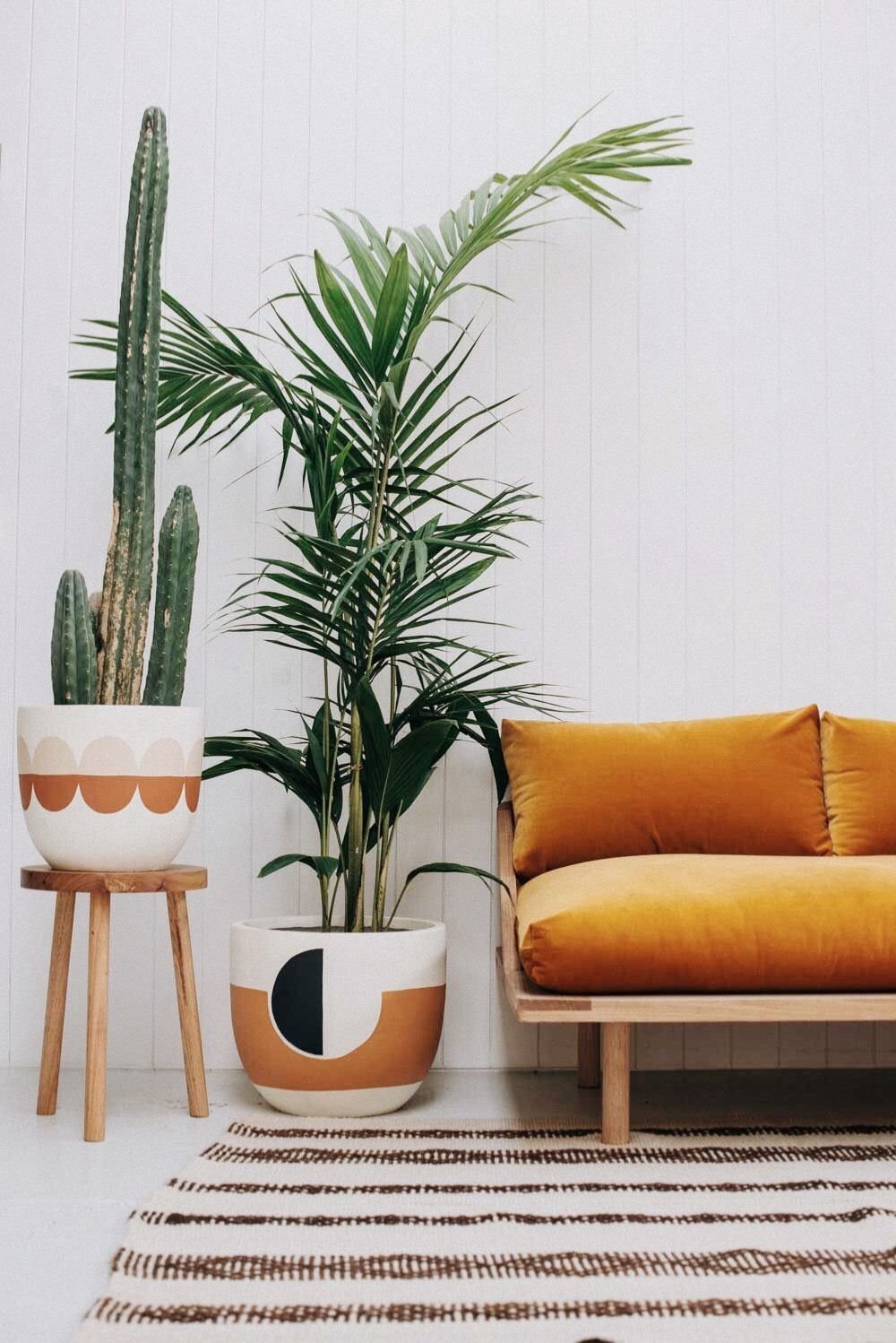 salon con sofa de terciopelo y maceteros de terracota
