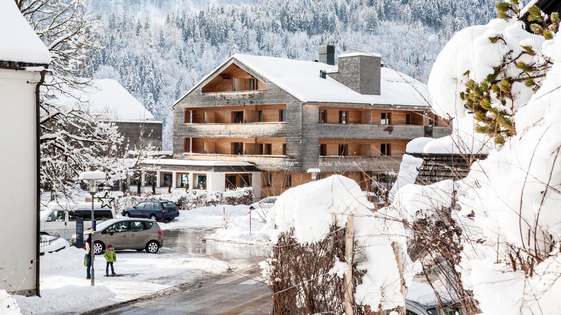 Biohotel Schwanen-Austria-paisaje nevado