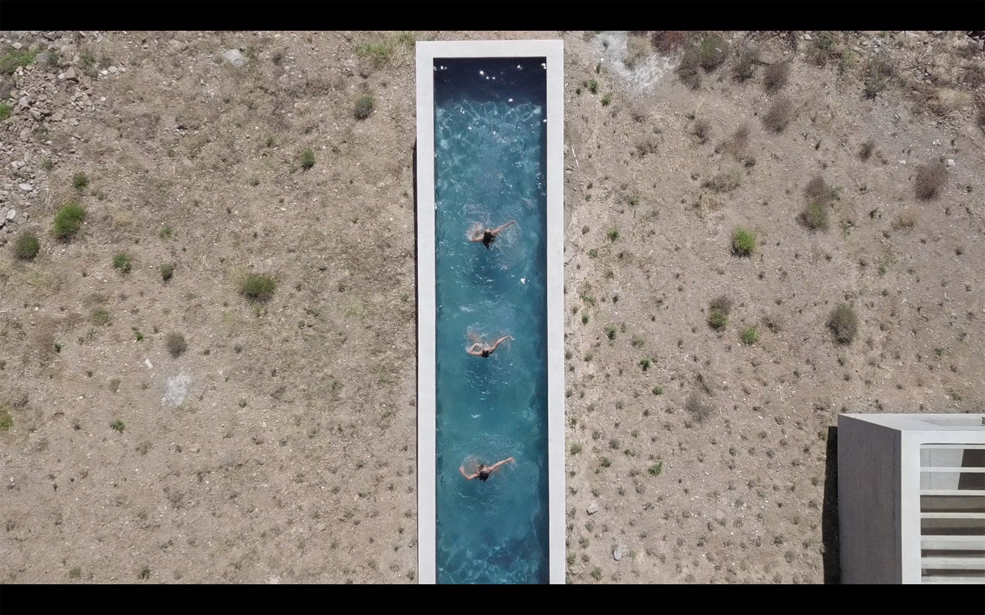 the lap pool house mariana bisti aristides dallas 10