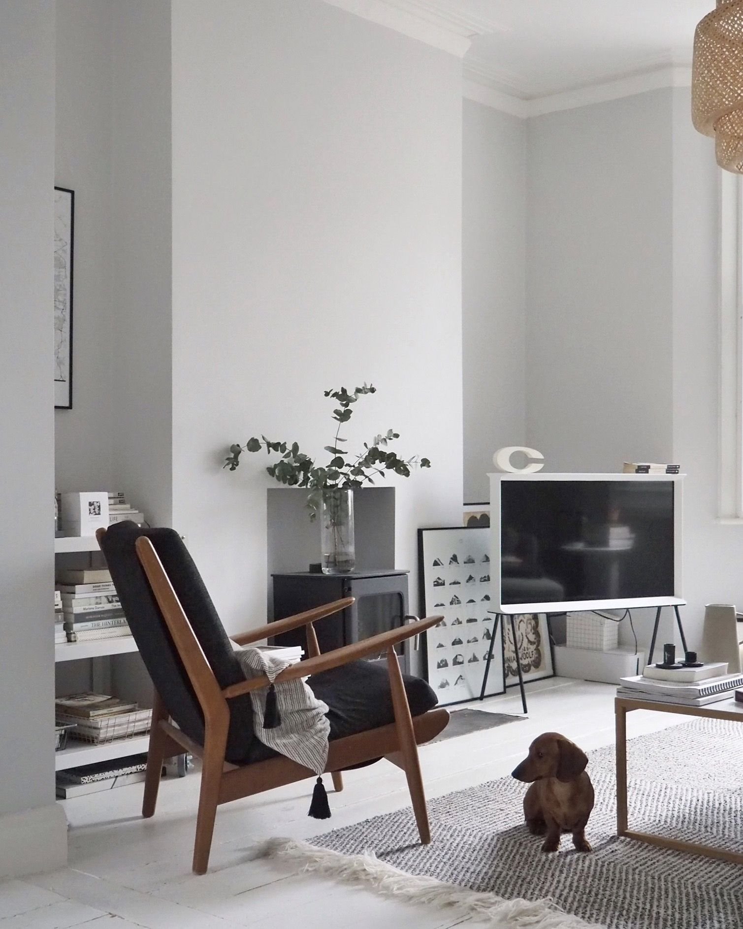 Salon con una televisión butaca y un perro