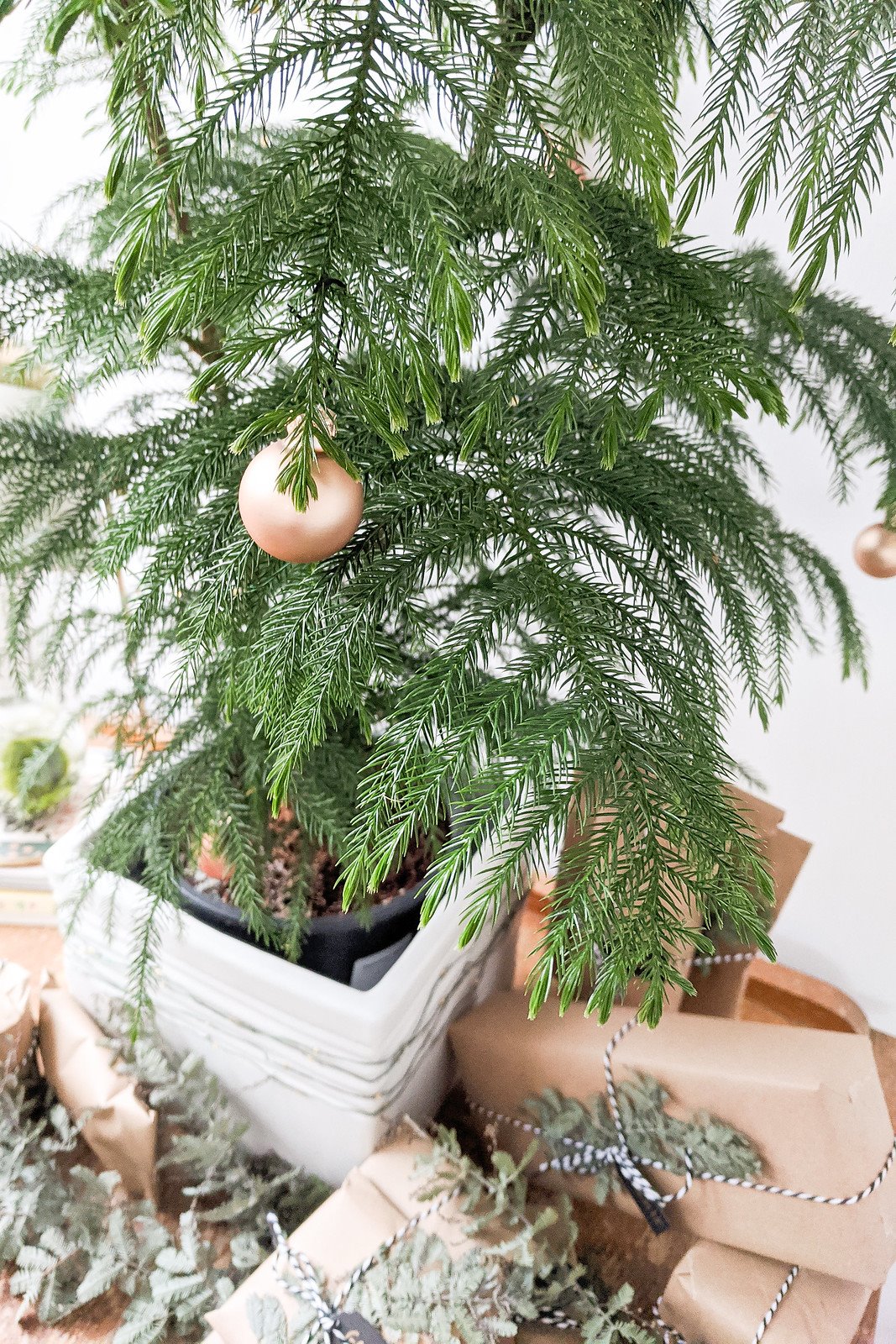Si ya tienes un árbol de navidad de plástico, guárdalo y reutilízalo. Pero si compras un árbol natural, elige uno que haya sido cultivado en un vivero local y no extraído de la naturaleza.