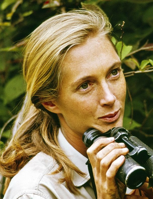 Jane Goodall se adentra en el universo de la decoración