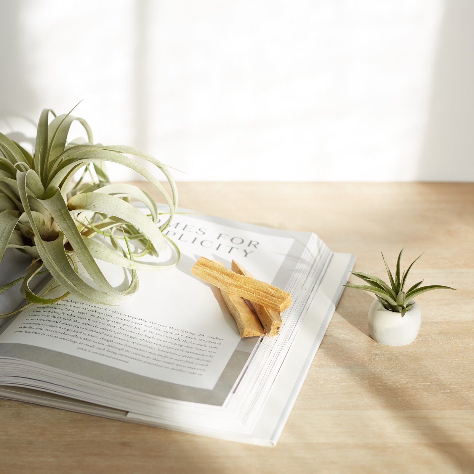 Plantas de aier