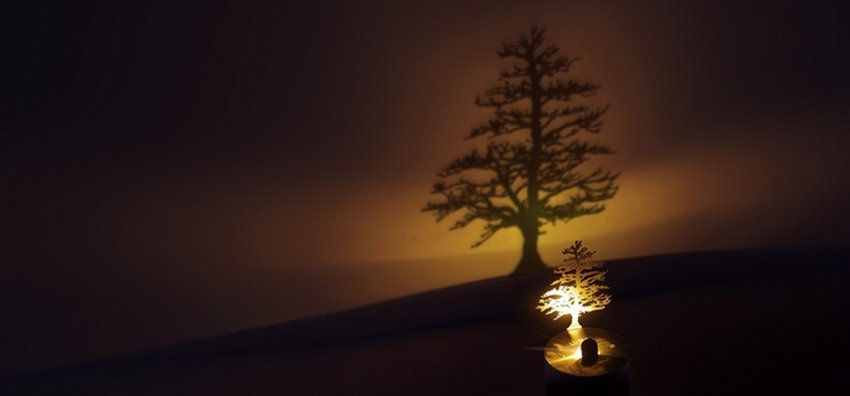 luces.Arbol-de-Navidad-de-Adam-Frank. Con sombra