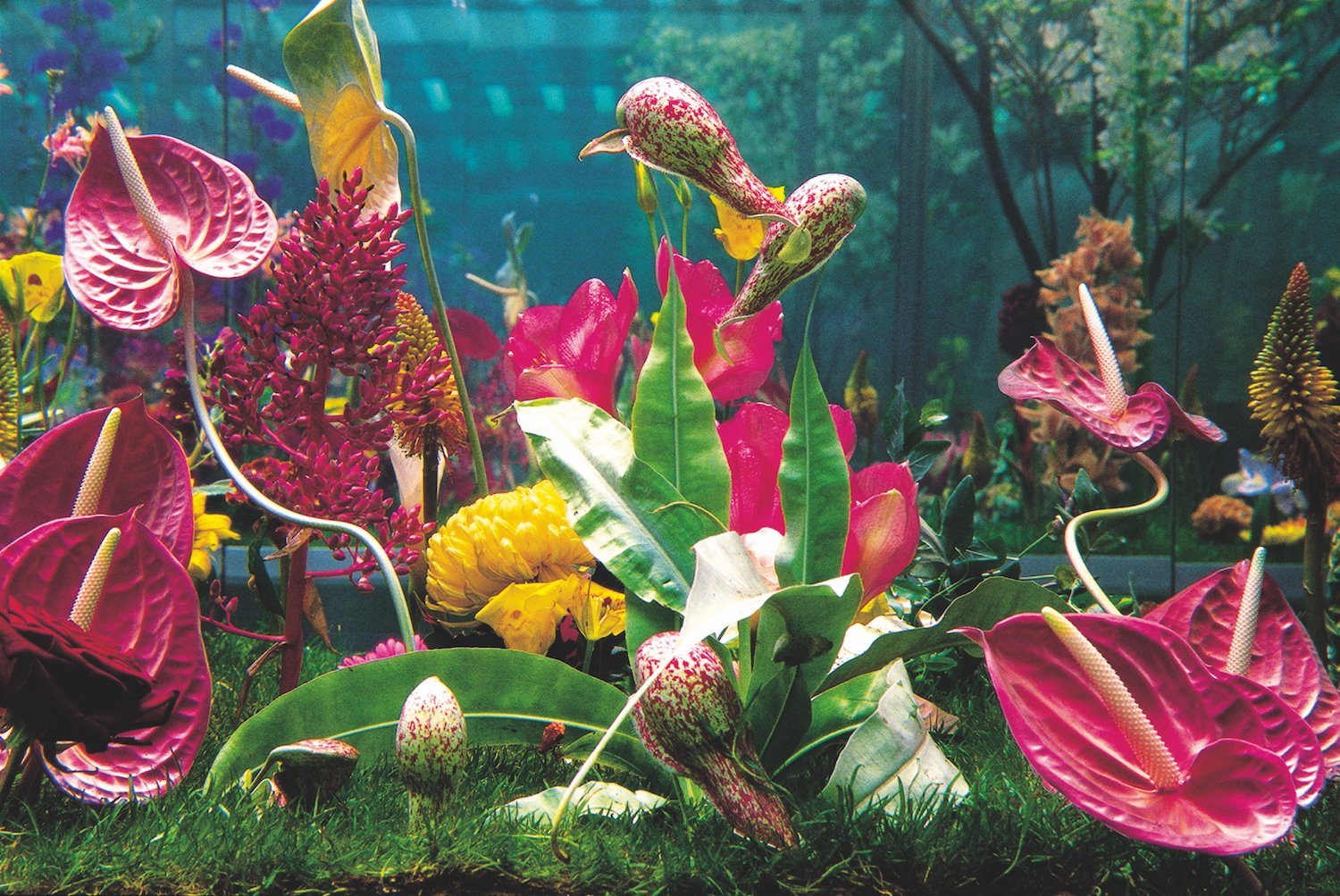 Libro Flowers Martin Quinn