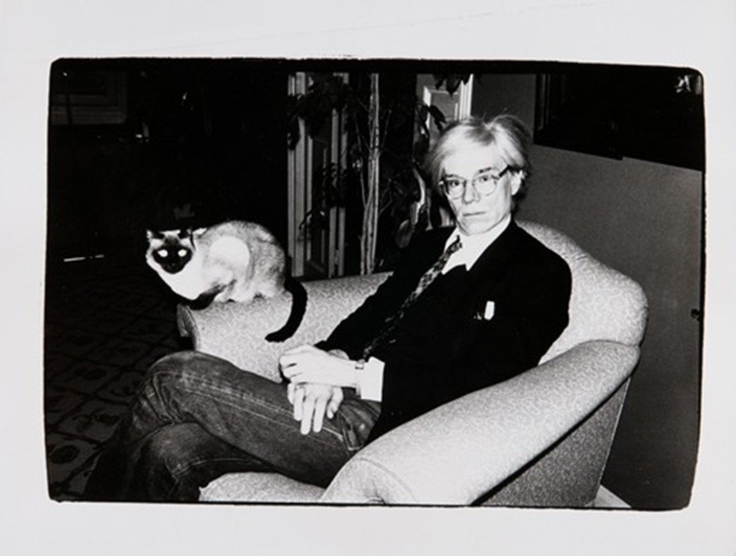 Andy warhol
