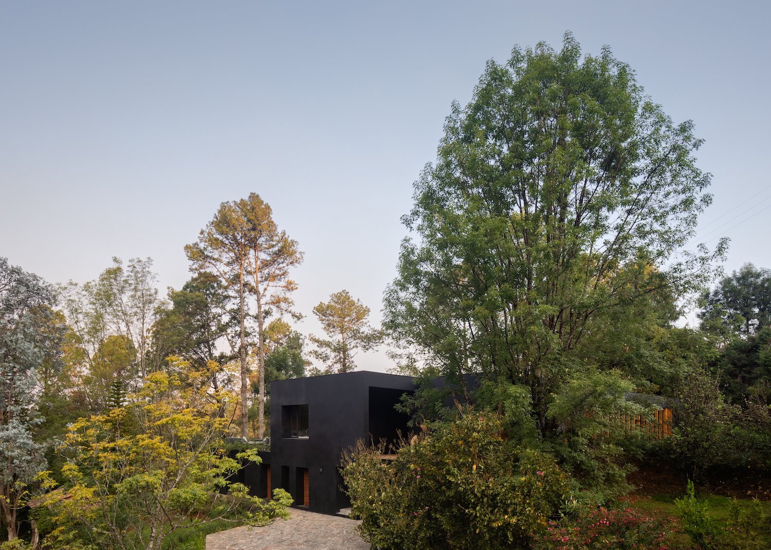 Casa en mitad del bosque con fachada de color negro