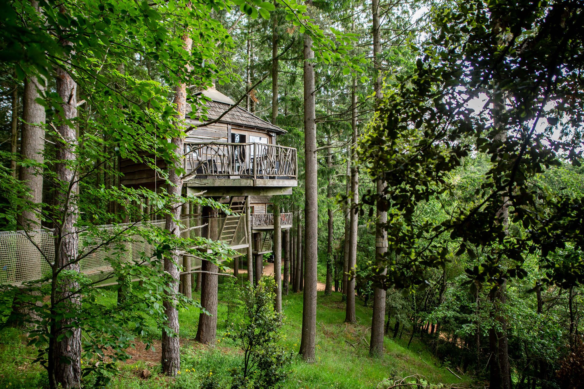 Cabañas en los arboles para pasar un fin de semana en Girona