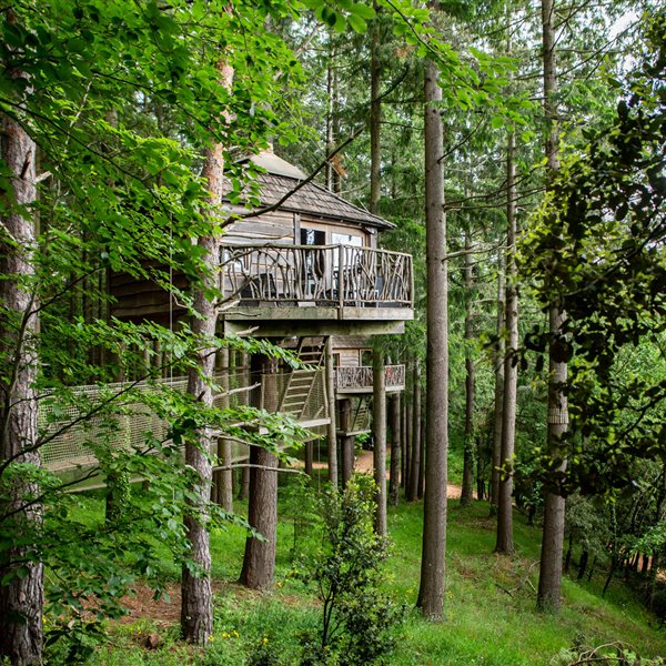 Cabañas en los arboles para pasar un fin de semana en Girona