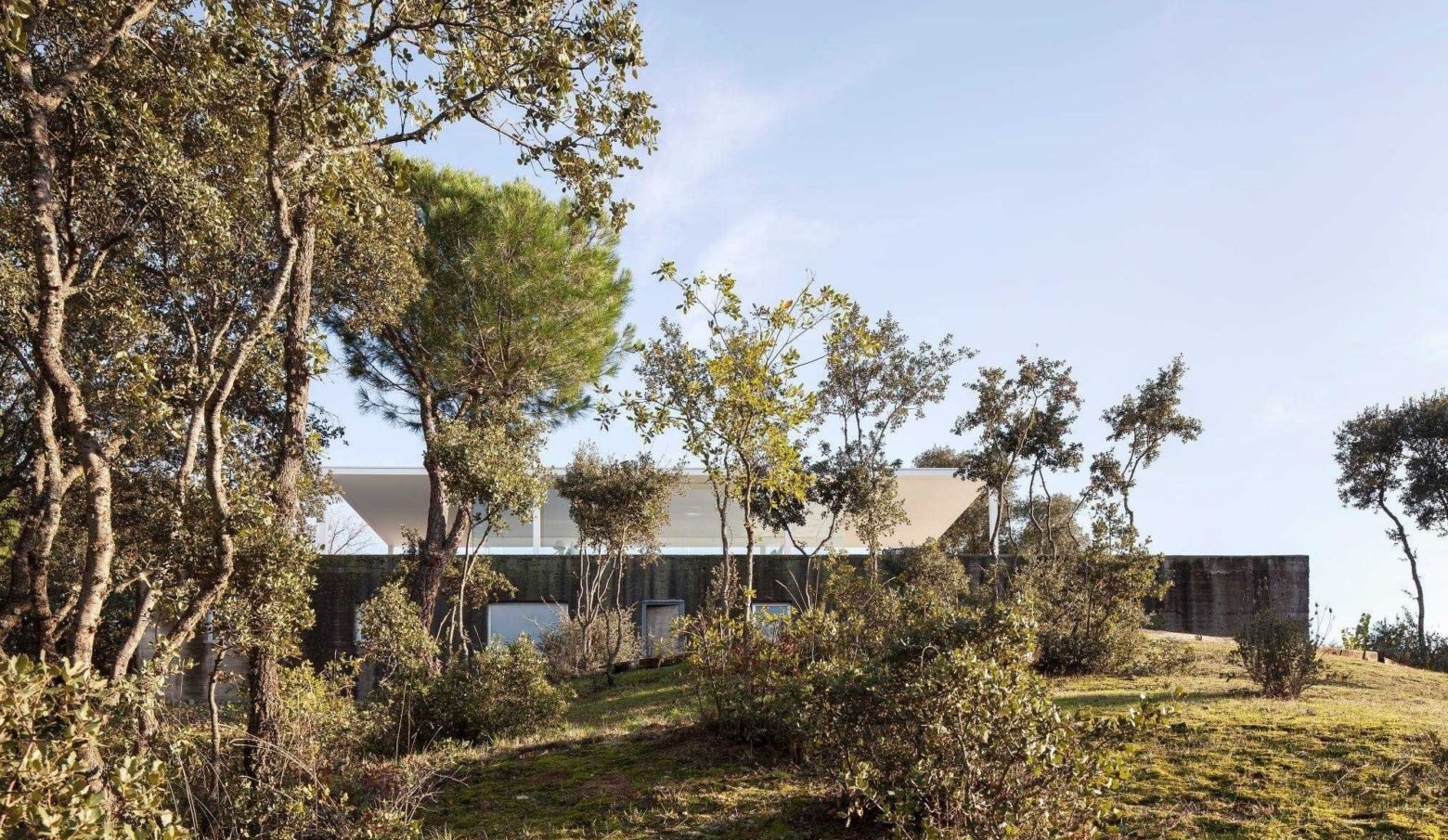 casa de blas campo baeza naturaleza