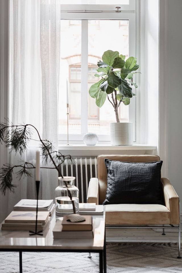 Apartamento en estocolmo con butaca de color marron y ficus en la ventana