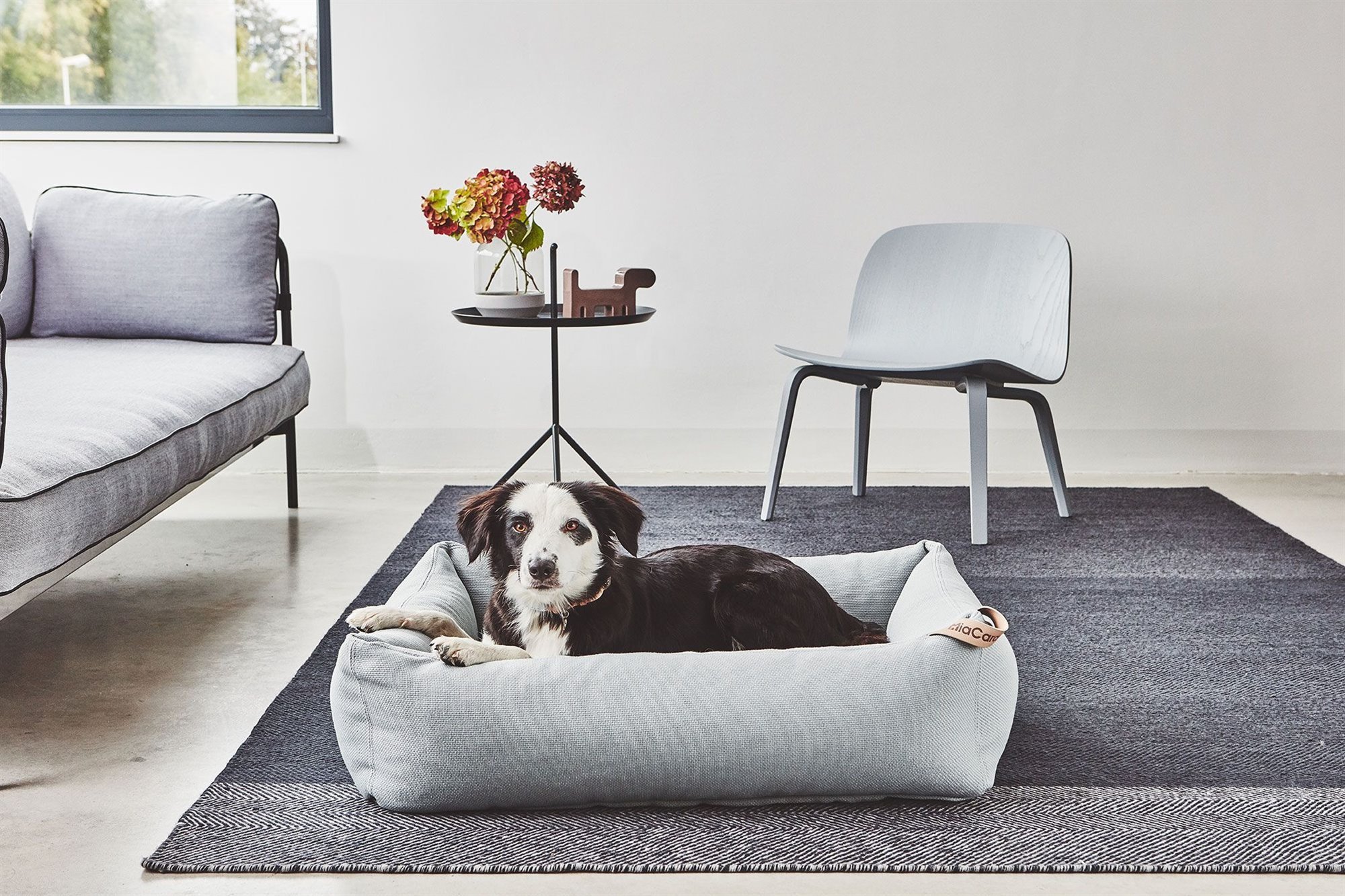 Cama para perro de la firma Miacara. Diseño para mascotas