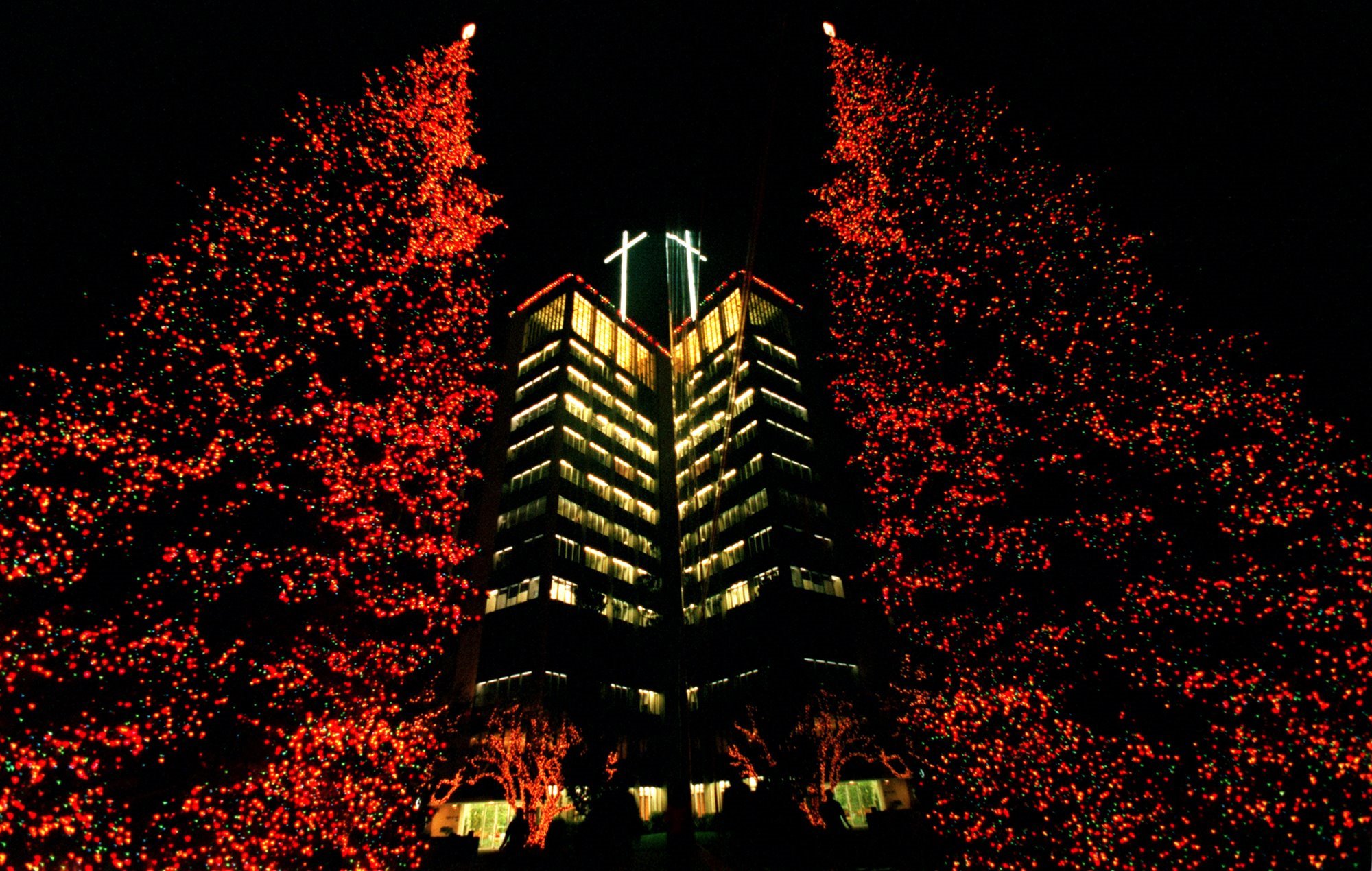 Arboles en honor a las victimas del atentado de las torres gemelas 2001
