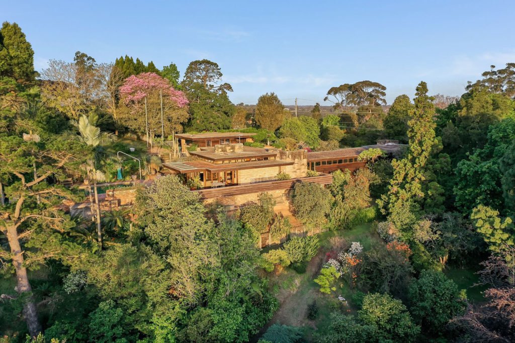 casa orgánica modernista vegetación