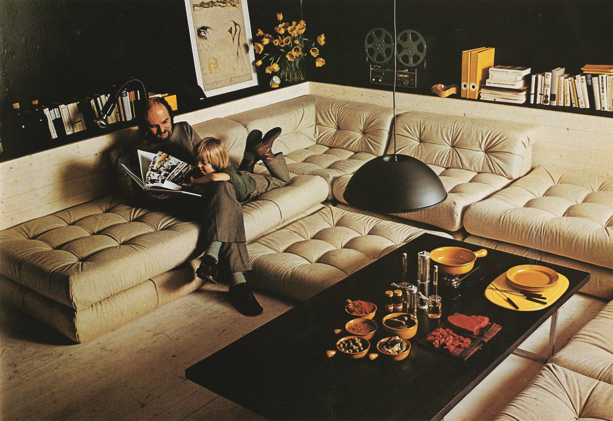 Canape de Roche Bobois