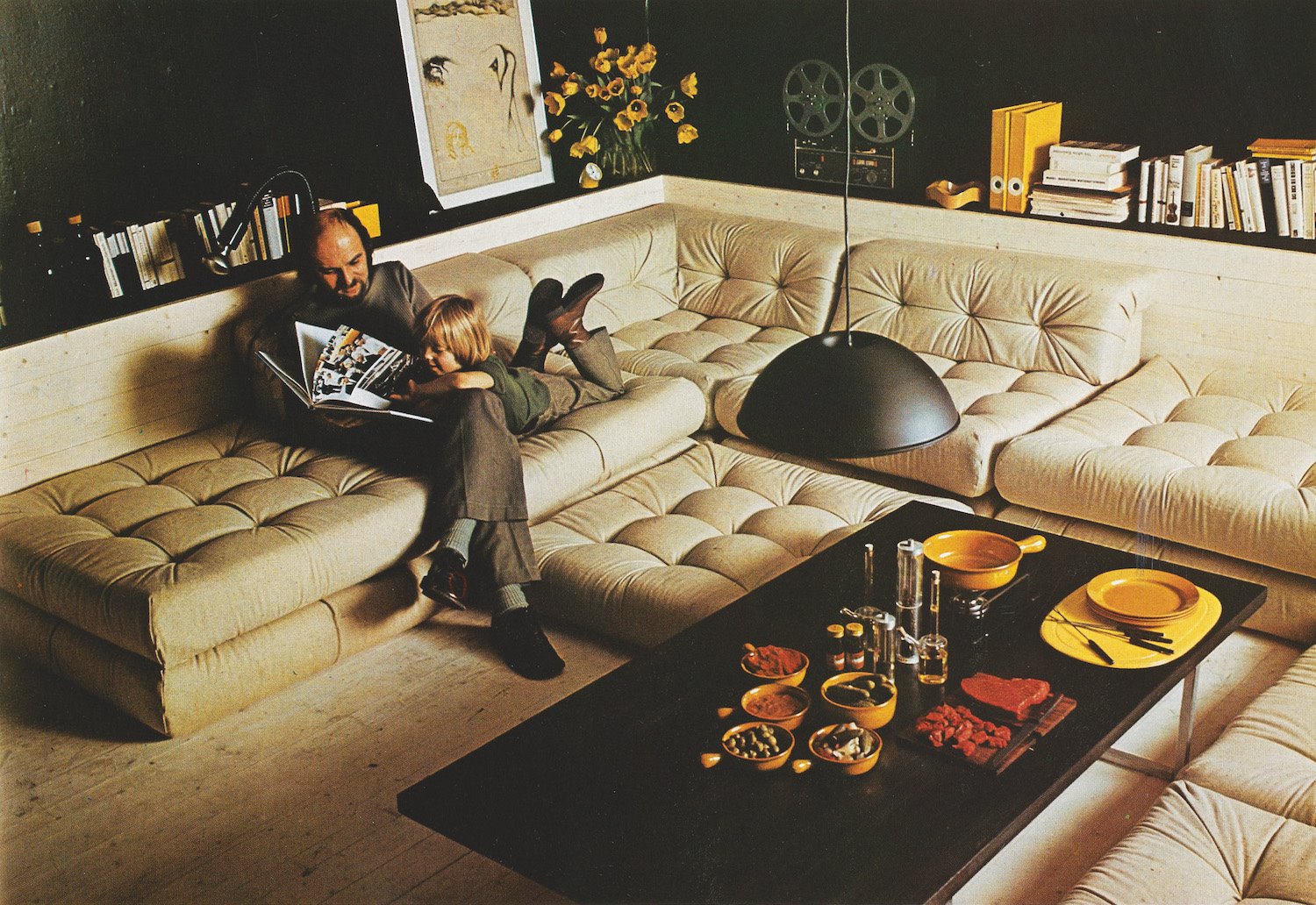 Canape de Roche Bobois