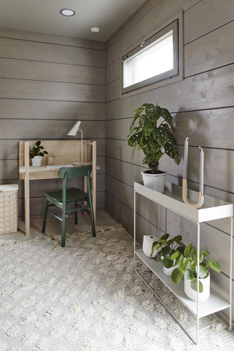 despacho con estanteria con plantas. Cuida de tus plantas