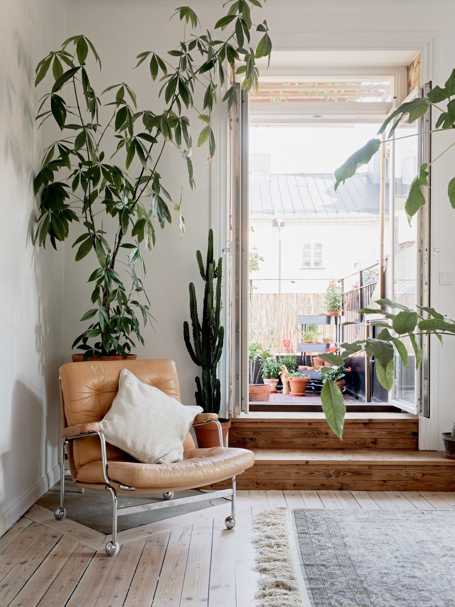 Salon con plantas y terraza. Para las plantas