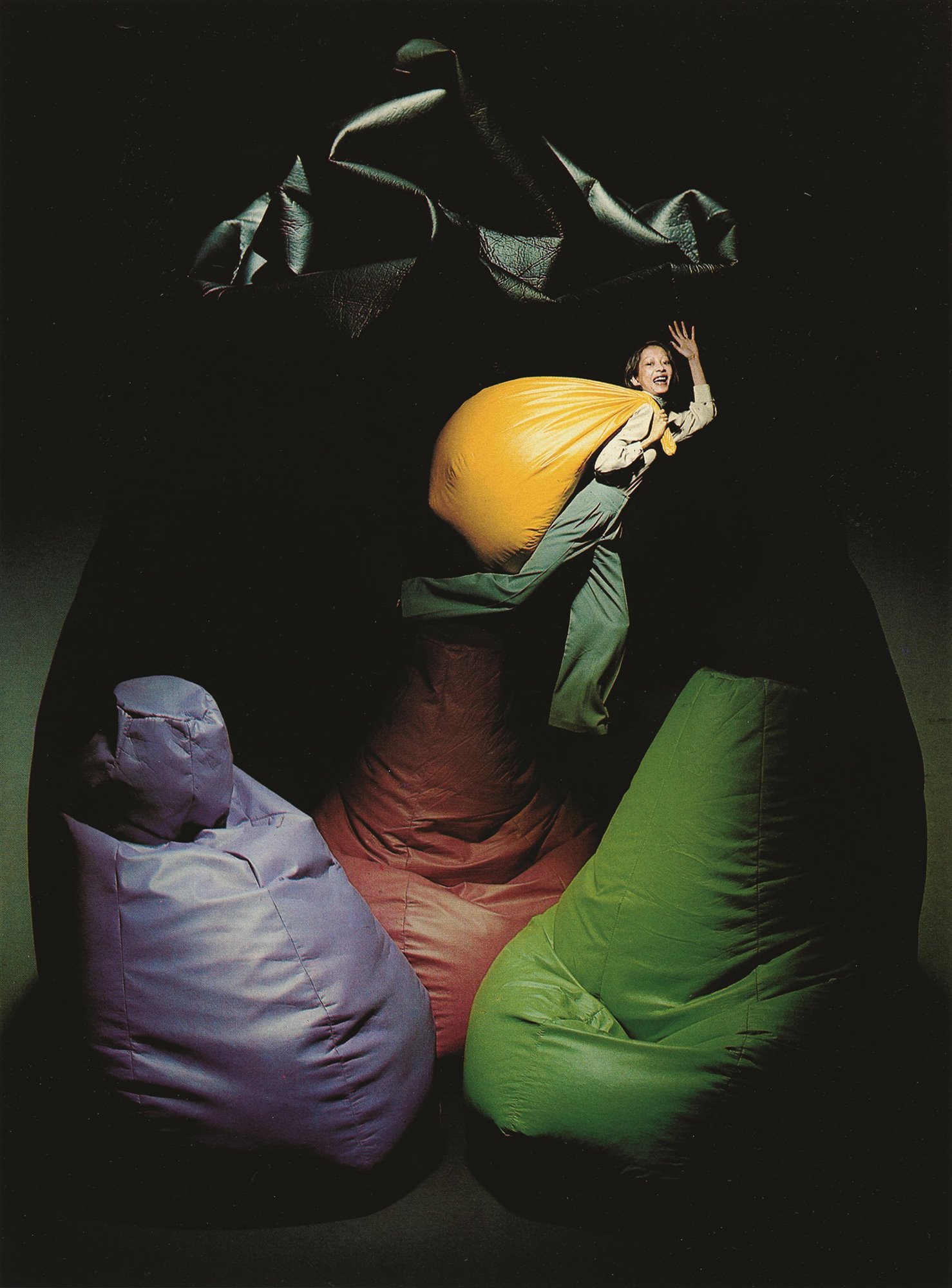 Sacco de Roche Bobois