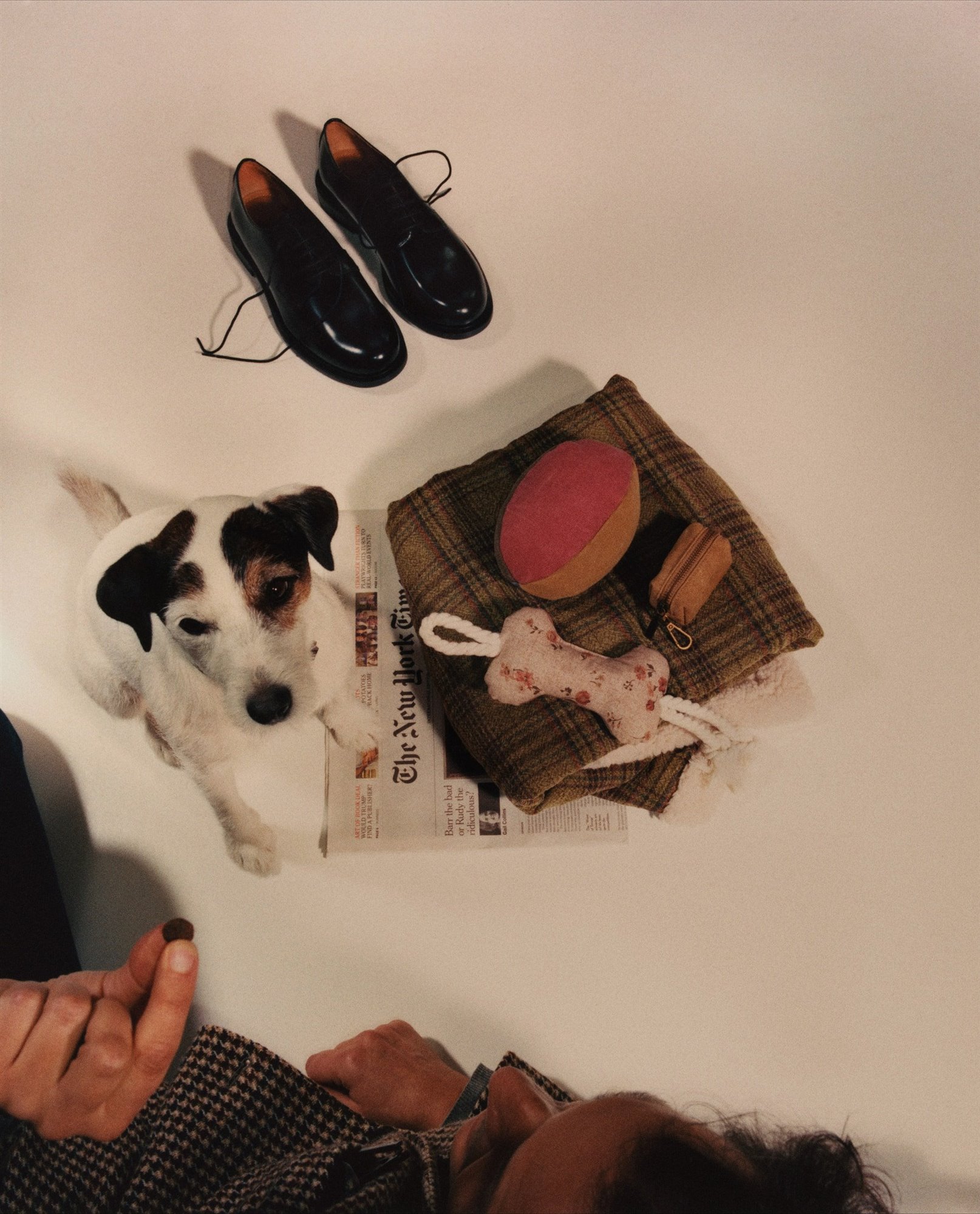 cuadros. zara home