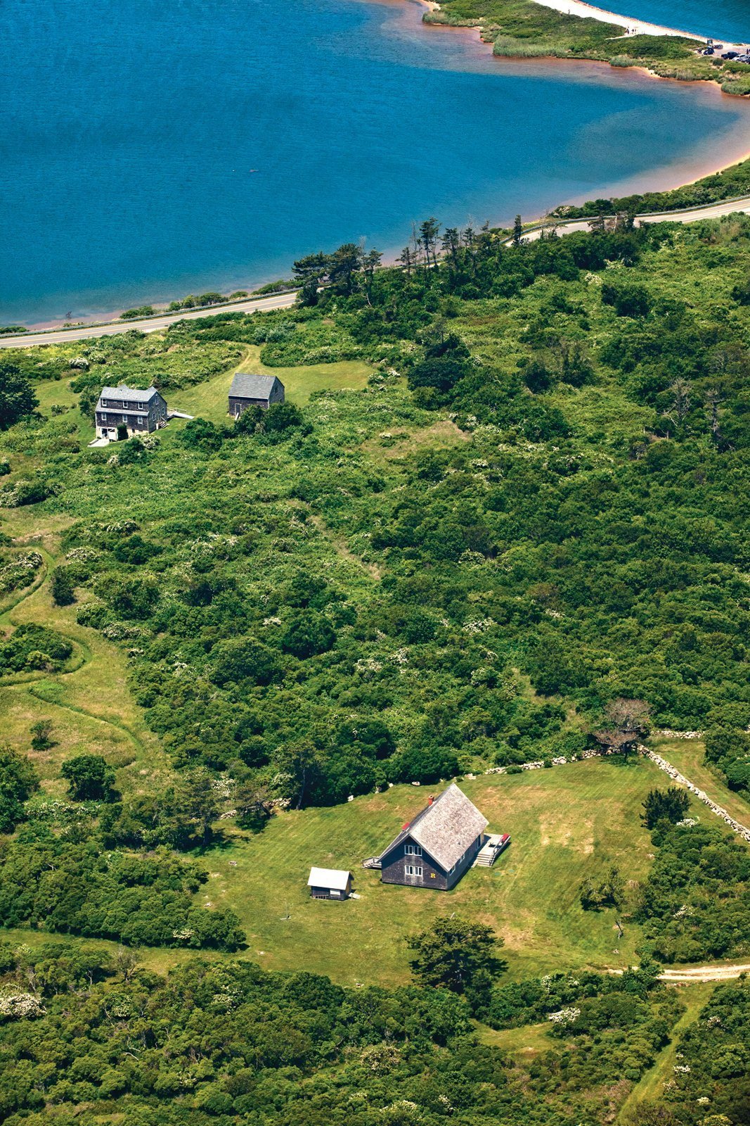 casa risom vegetación