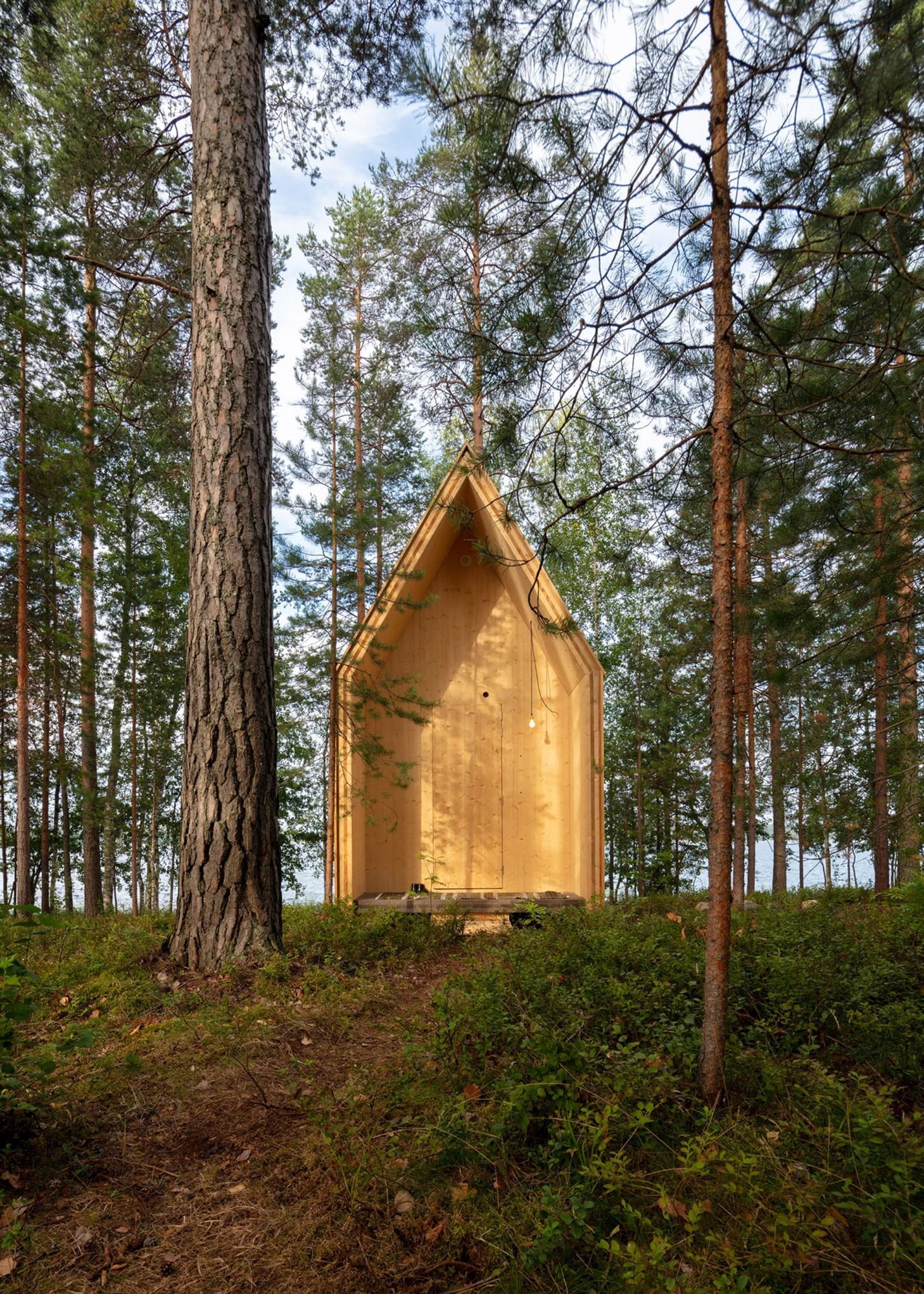 casa bosque madera puerta