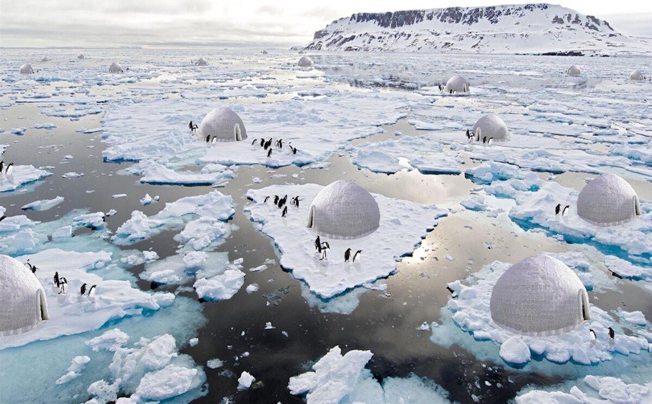 El proyecto de Sajjad Navid ha diseñado un sistema para proteger el hábit del pingüino emperador, seriamente afectado por el deshielo polar. Esos refugios en forma de iglú protegerán los huevos y la crianza.