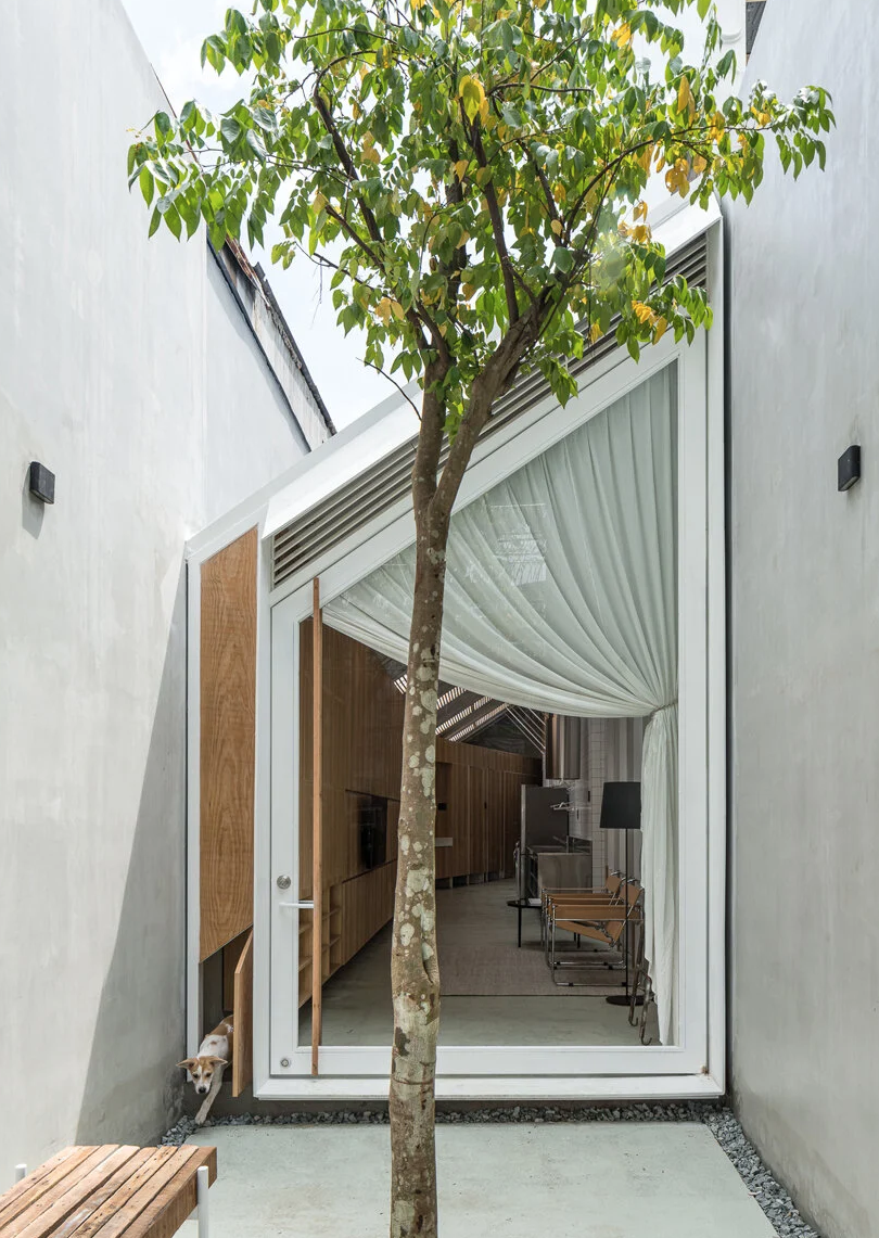 minicasa patio y árbol