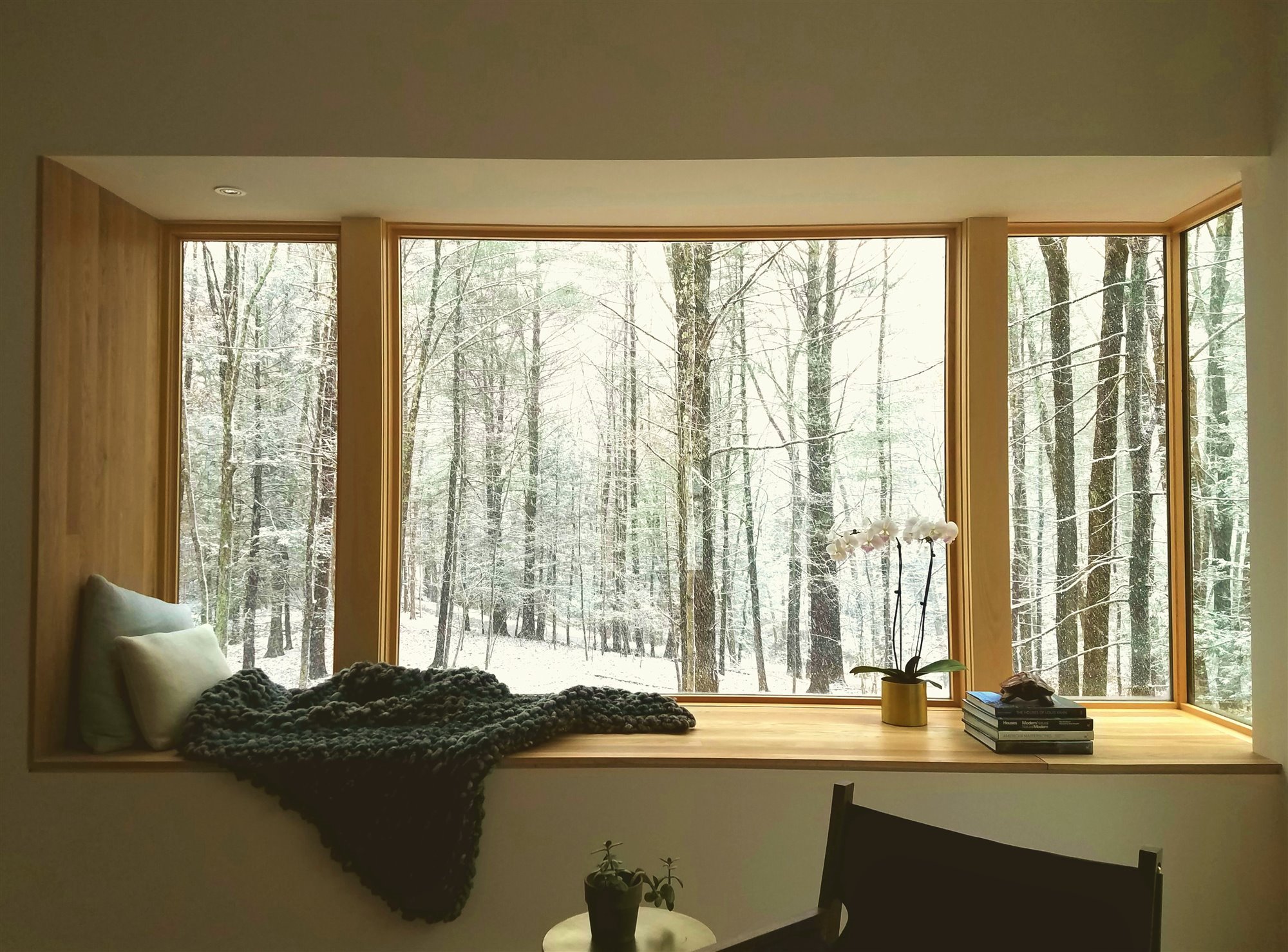 Ventana con un bosque nevado de un salon moderno
