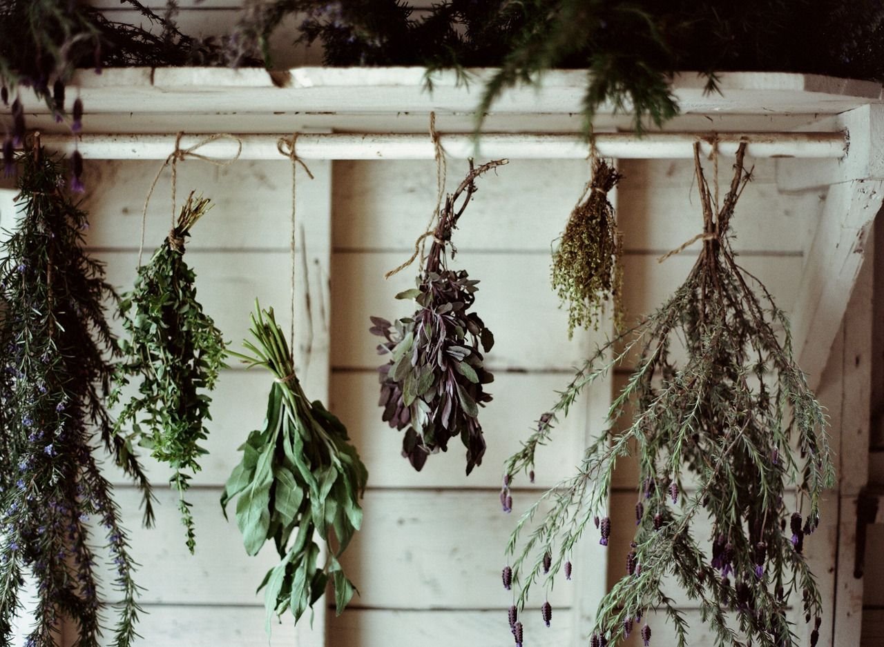 Plantas aromaticas en la cocina ramilletes de albahaca tomillo