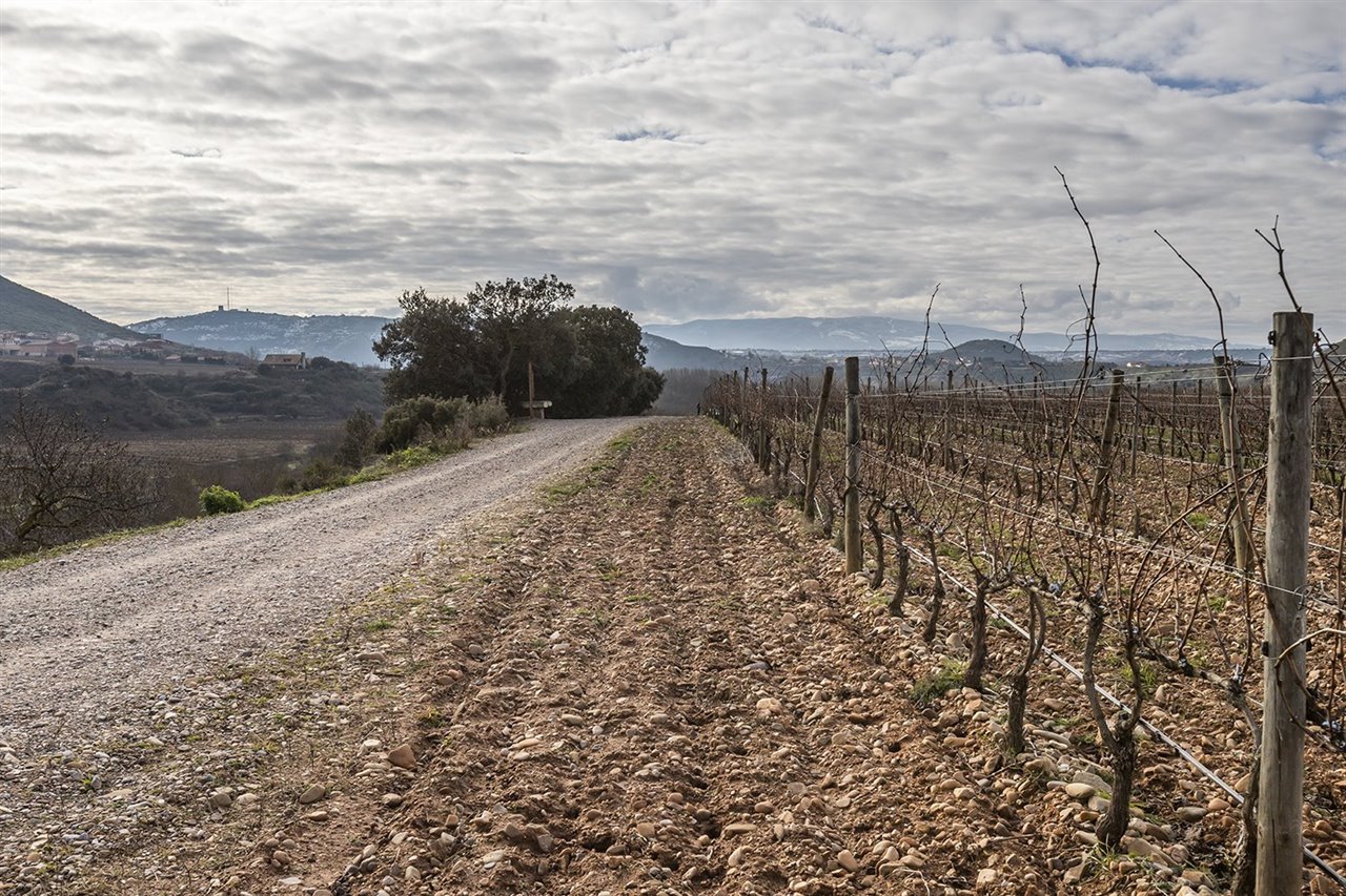 La Viña Lanciano, perteneciente a bodegas LAN, es el tercer escenario del festival Concéntrico 07.