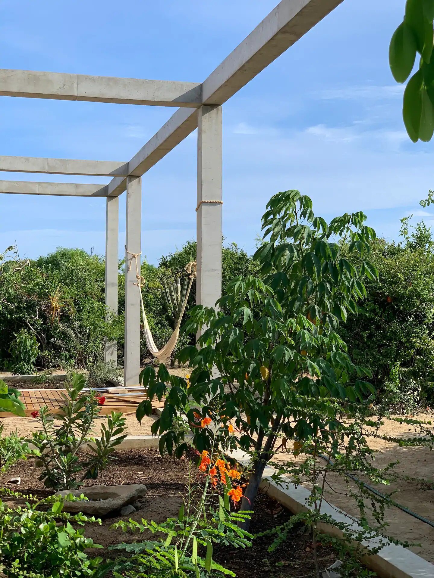 Casa en Oaxaca jardin