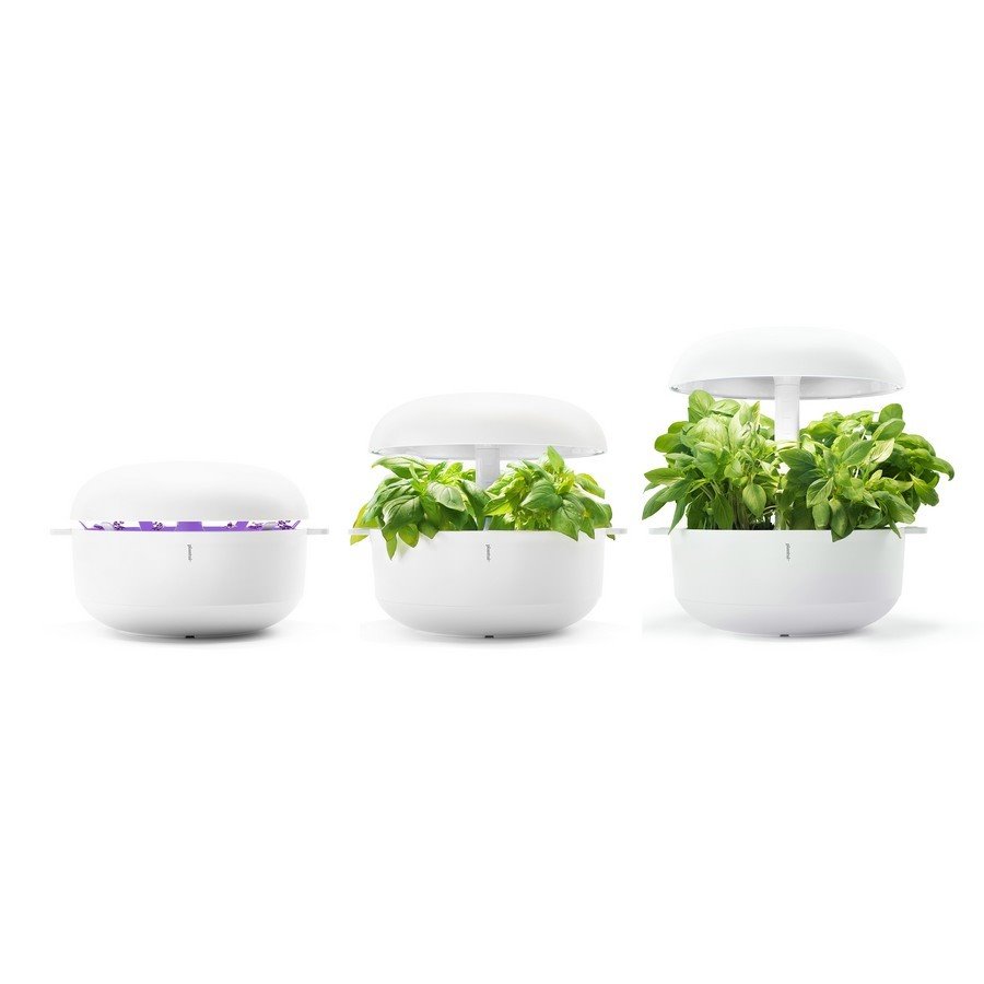 Jardinera inteligente para plantar plantas aromaticas en casa