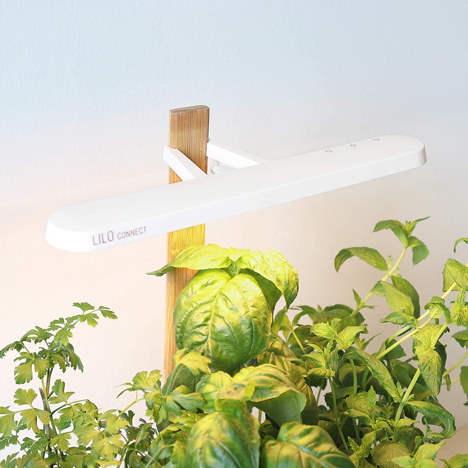 Jardinera para cultivar plantas en casa de forma inteligente