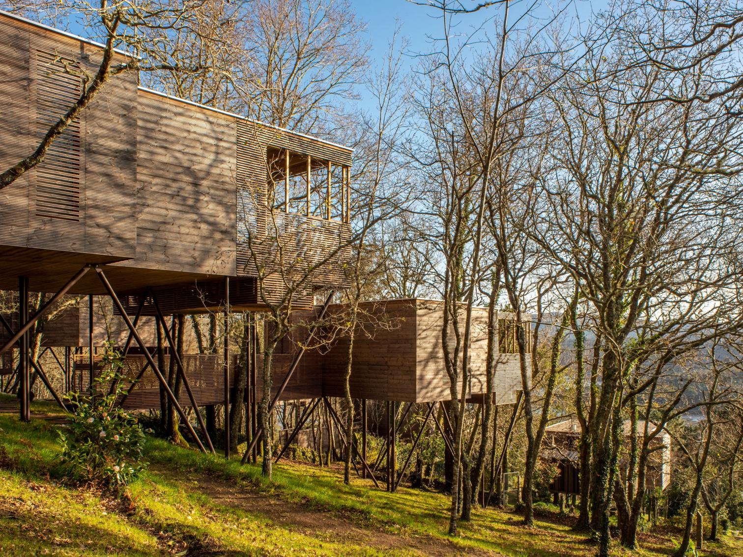 Casitas de madera en A coruña para turismo rural en un bosque tipo suite