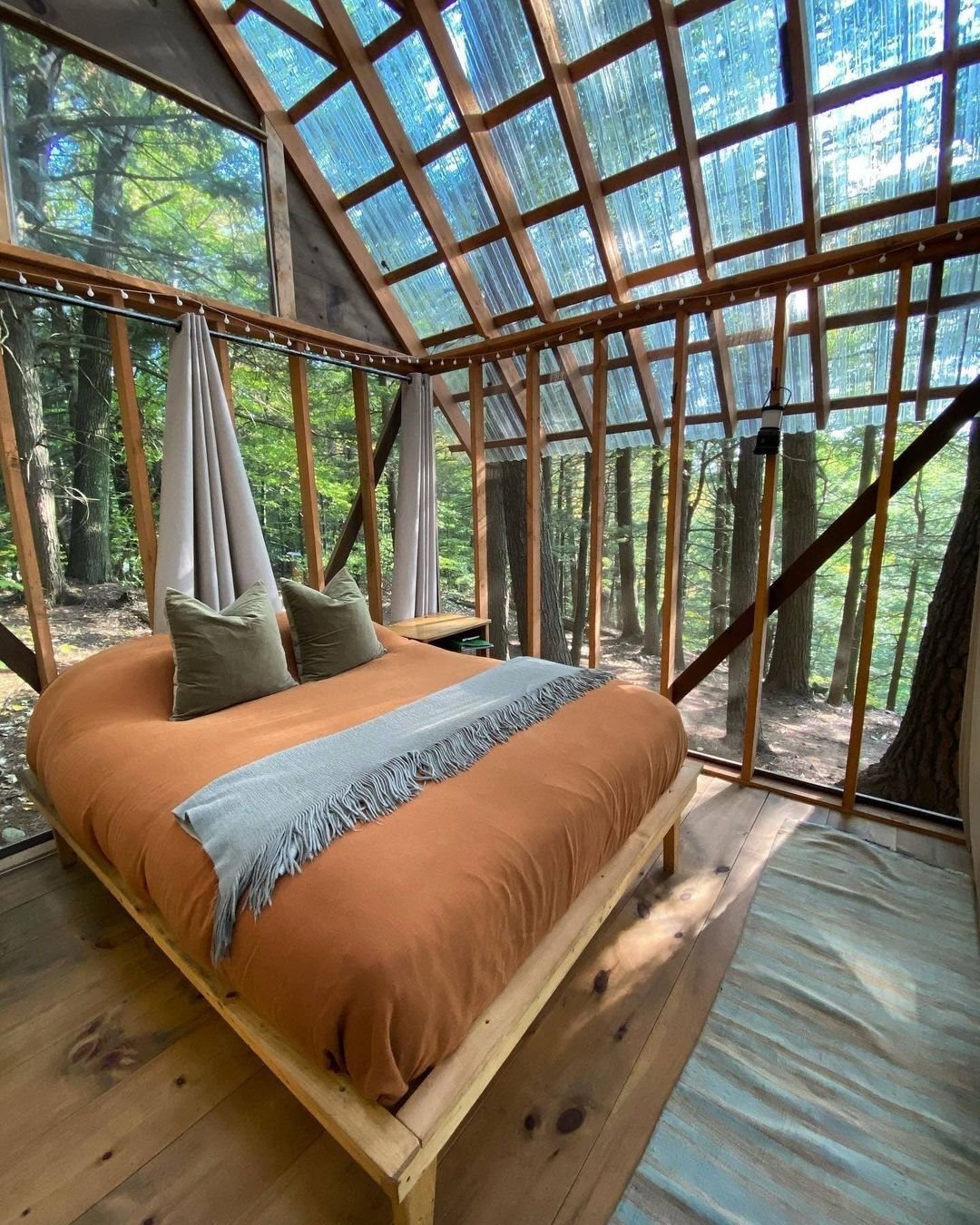 tanglebloom cabin