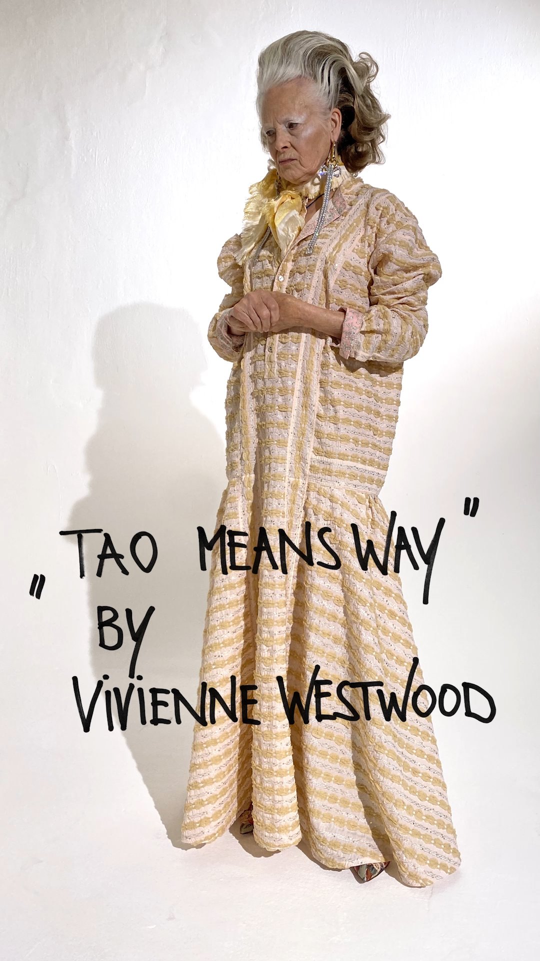 VIVIENNE WESTWOOD V