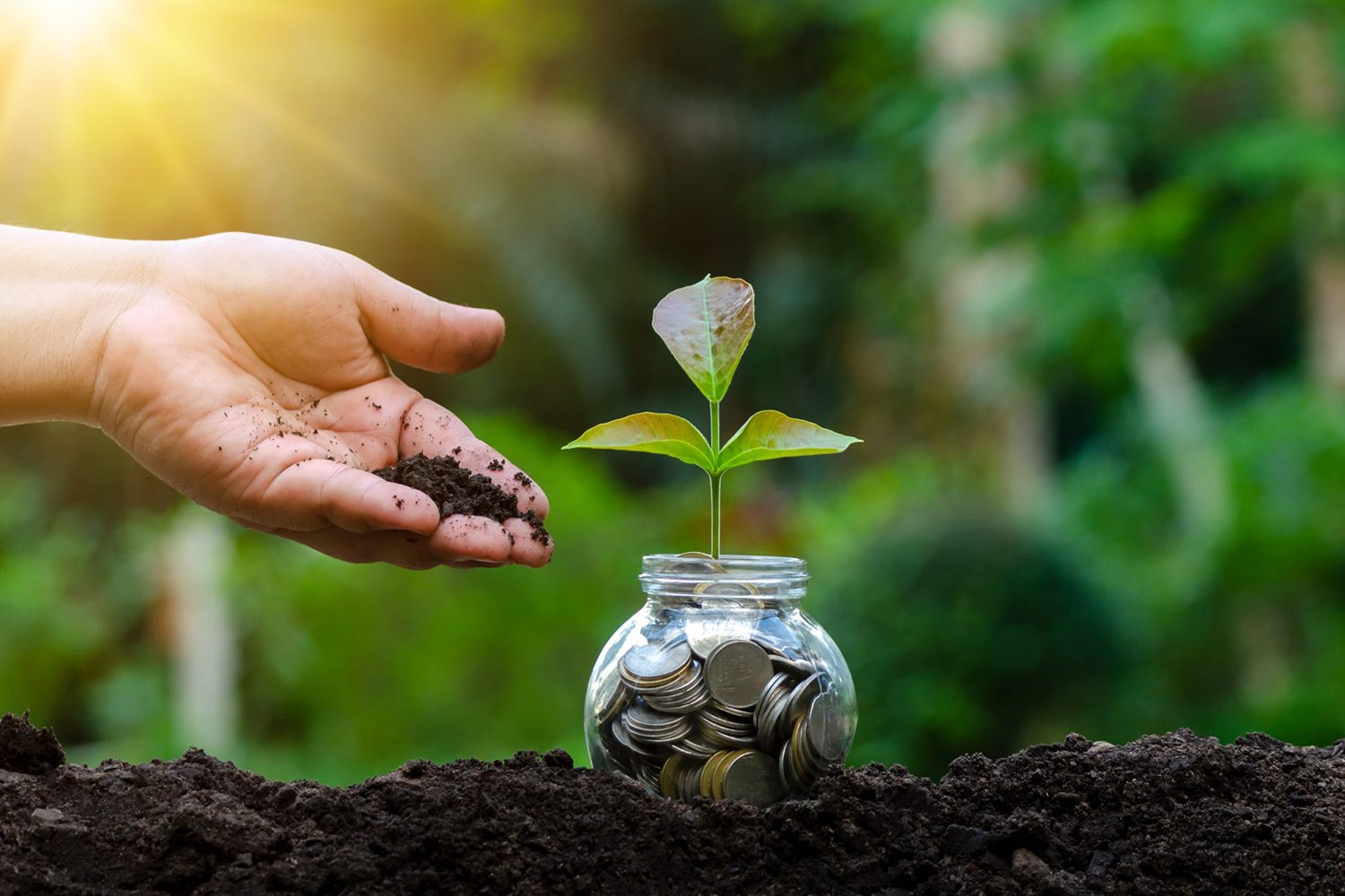 eco hitos 2021 green economy