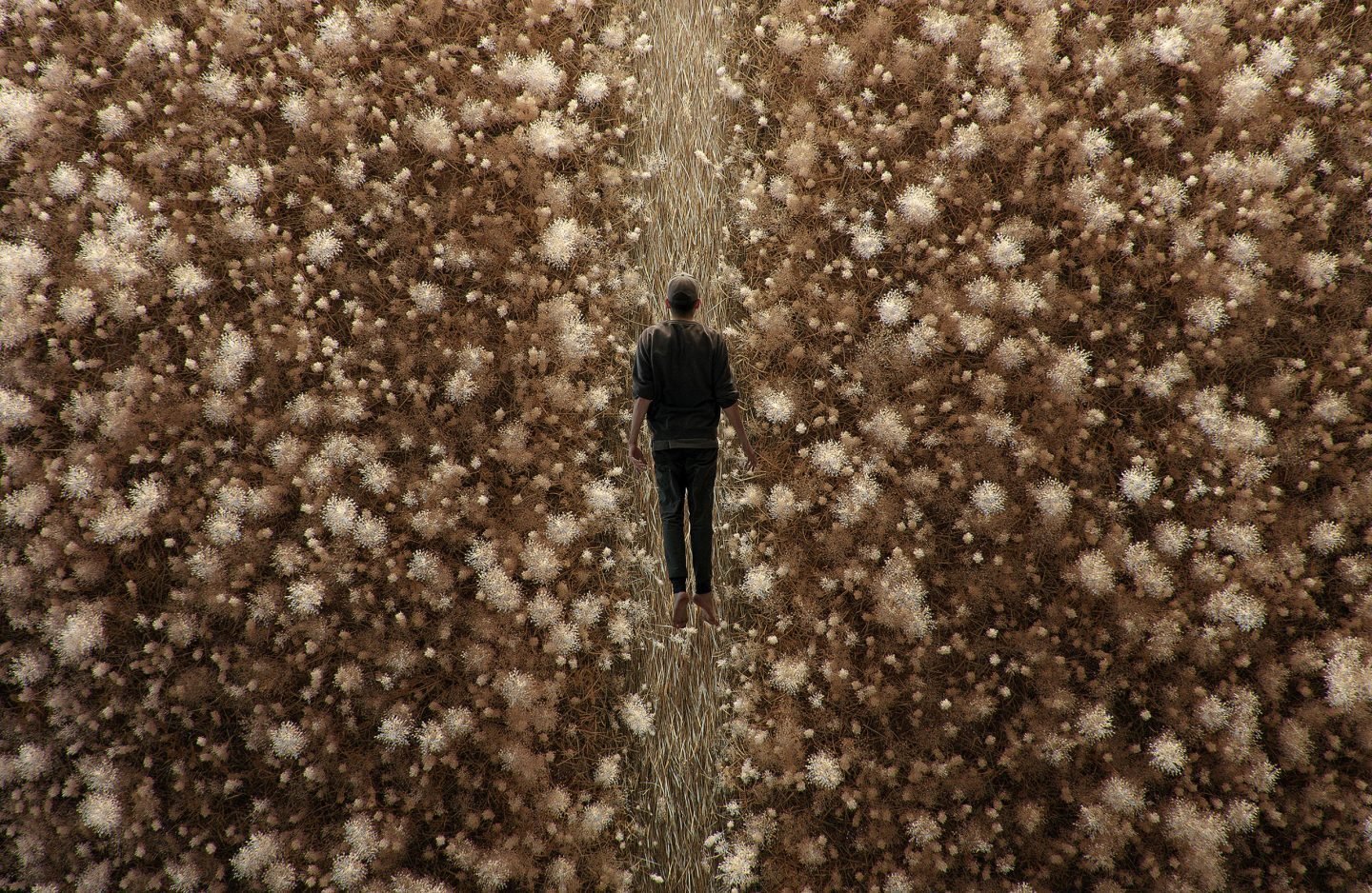 Instalacion de Tadao Cern en Paris 2