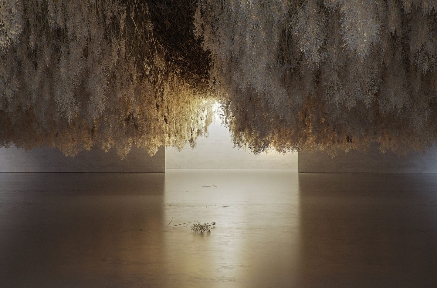 Instalacion de Tadao Cern en Paris