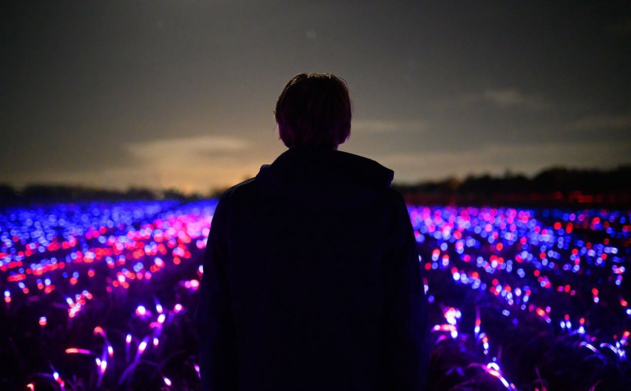 El artista holandés Daan Rosegaarde, ante la coreografía de luces de su instalación Grow, en Flevoland, una región holandesa recuperada hace décadas al mar.