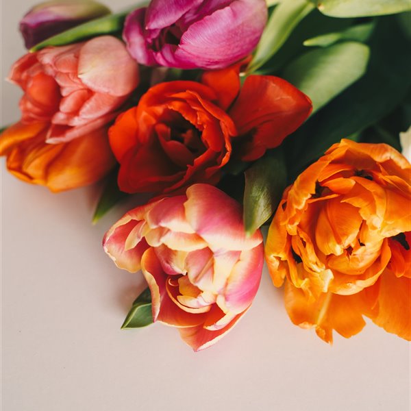 Estas son las mejores flores para las personas con alergias