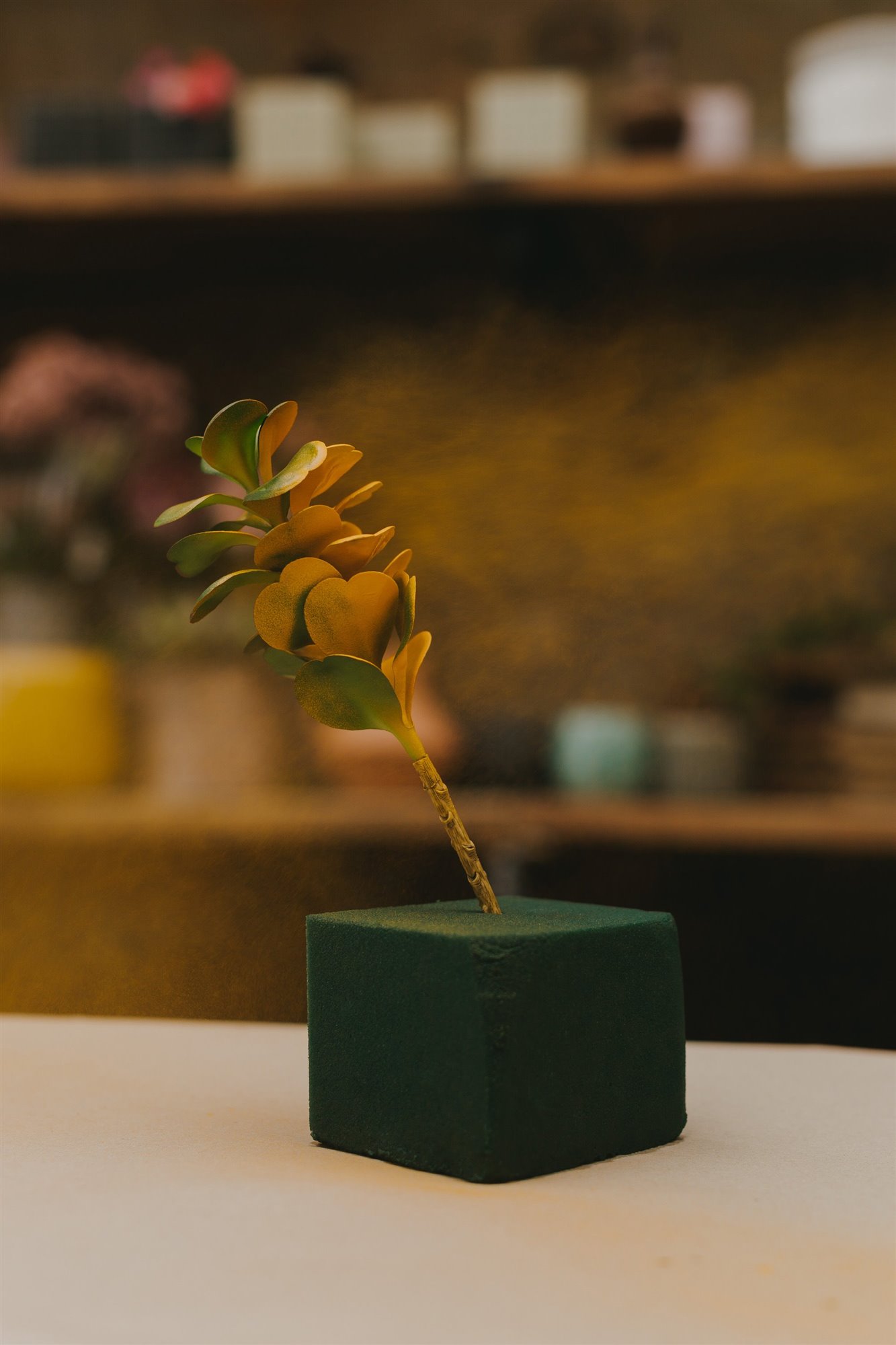 2. pintura planta crasa con ocre