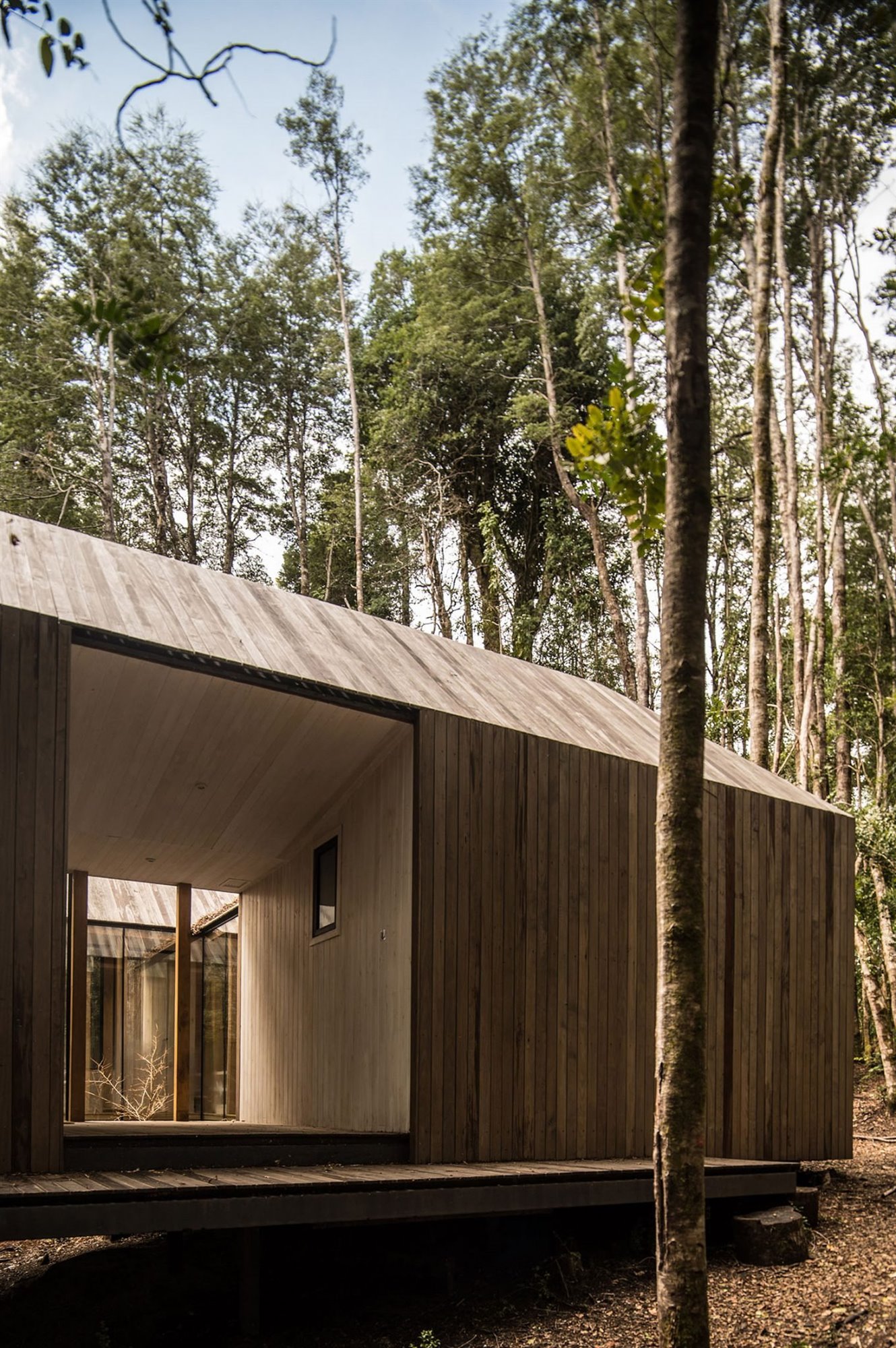 Casa de madera en mitad de los bosques de chile detalle ventana