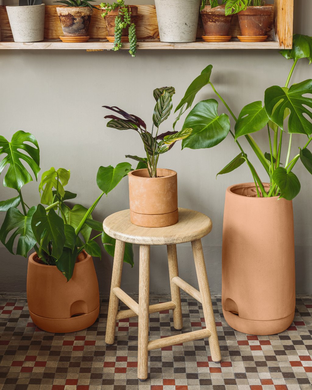 La maceta Luigina, al contar con un sistema de autorriego, es perfecta para aquellas personas que no tienen tiempo para cuidar de sus plantas. 