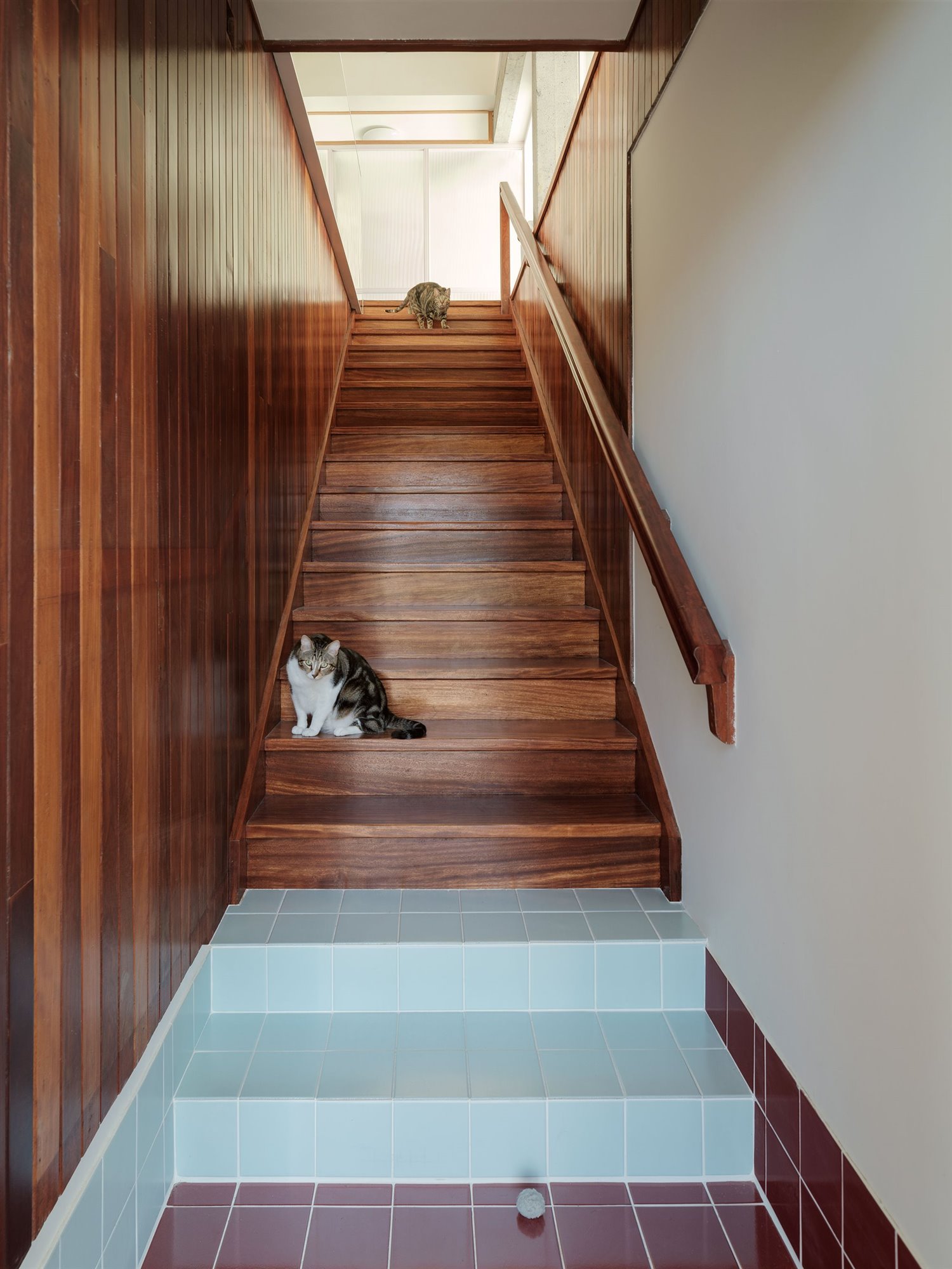 Escaleras y pared revestidas con madera. 