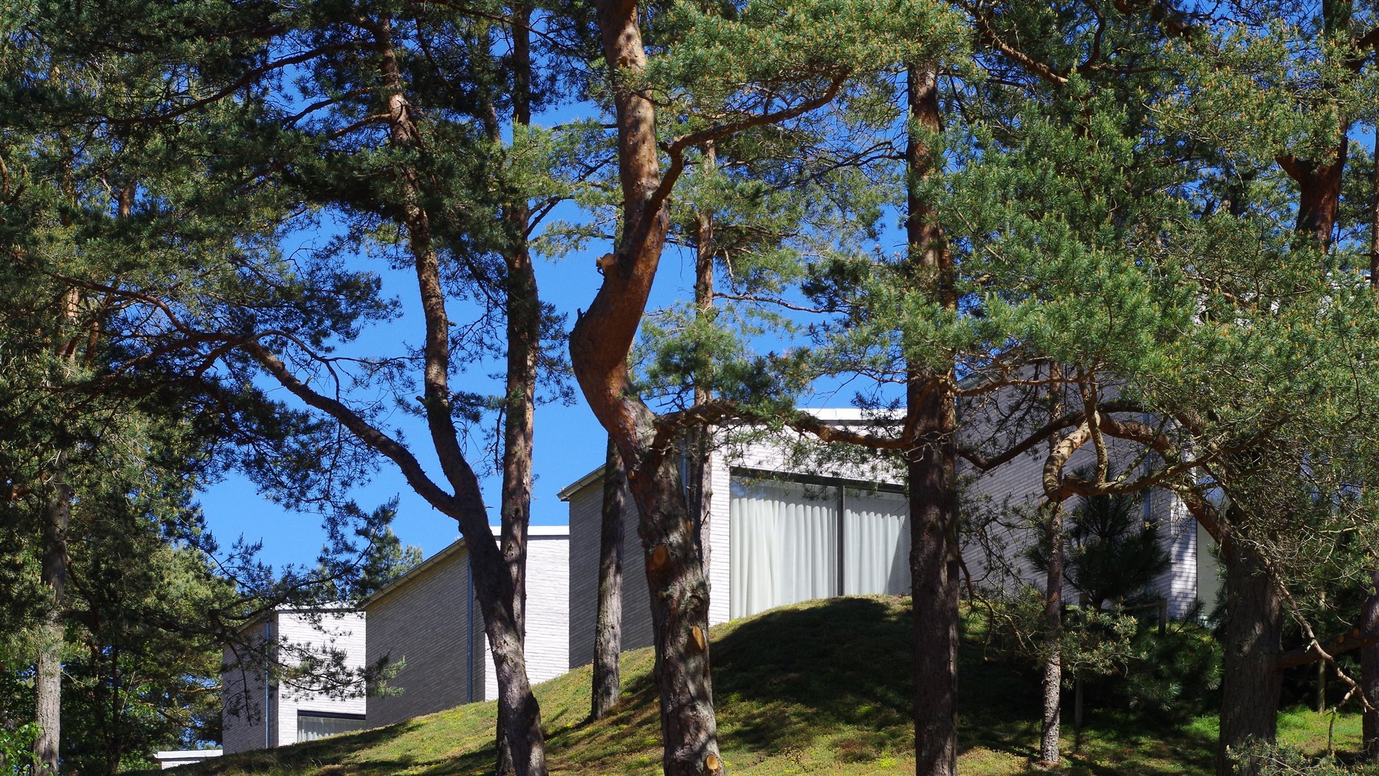 Casa moderna con fachada de piedra en mitad del bosque con arboles